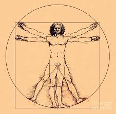 Leonardo da Vinci drawing of man